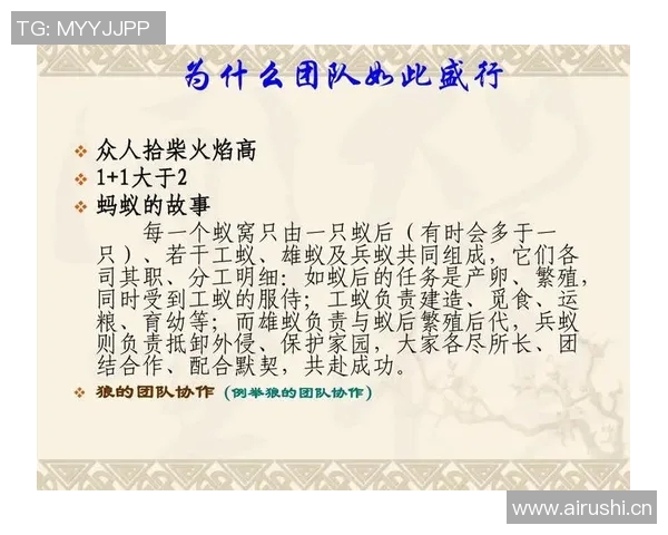 武汉排球队的崛起与挑战探讨排球运动中的团队力量与精神 武汉排球队的崛起与挑战探讨排球运动中的团队力量与精神